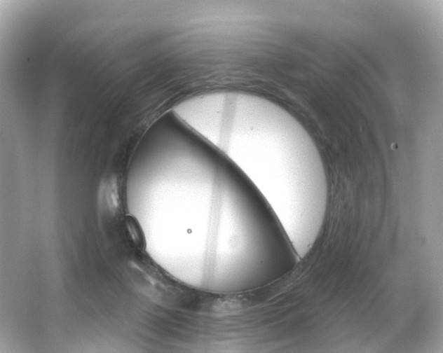 X0000066090075200603101014