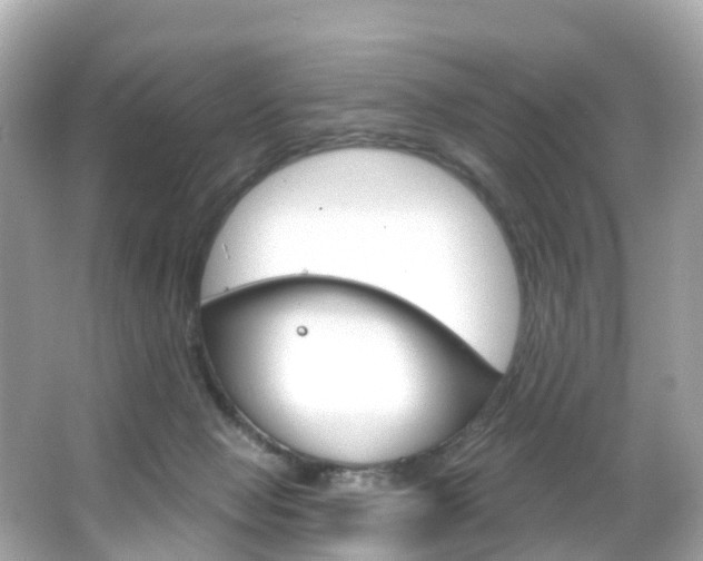 X0000066090077200603101014