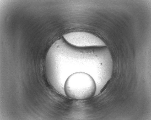 X0000066090078200603101014