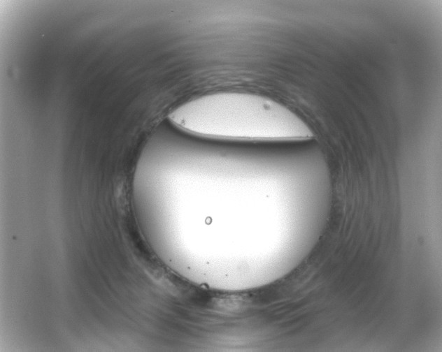 X0000066090079200603101014