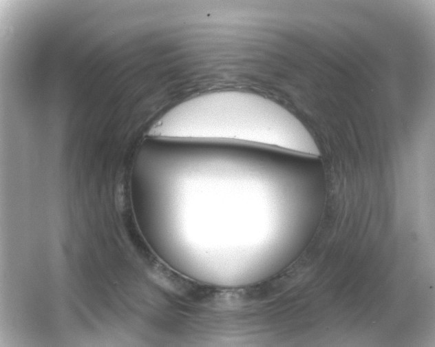 X0000066090080200603101014