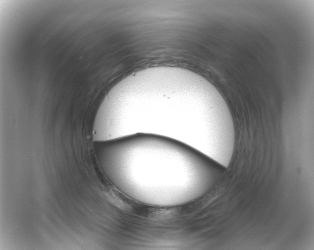 X0000066090081200603101014