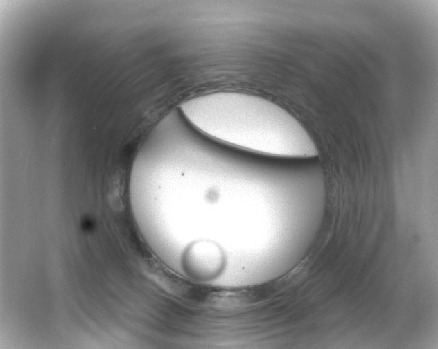 X0000066090082200603101014