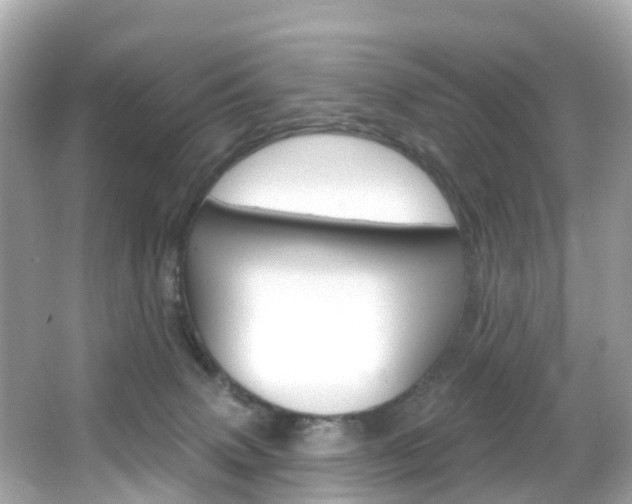 X0000066090083200603101014