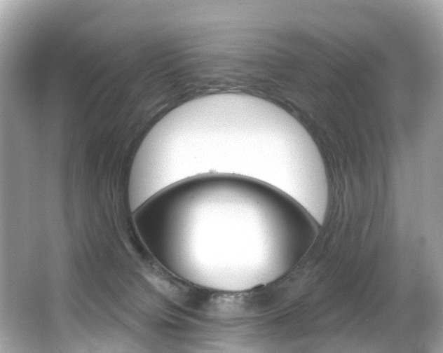 X0000066090084200603101014