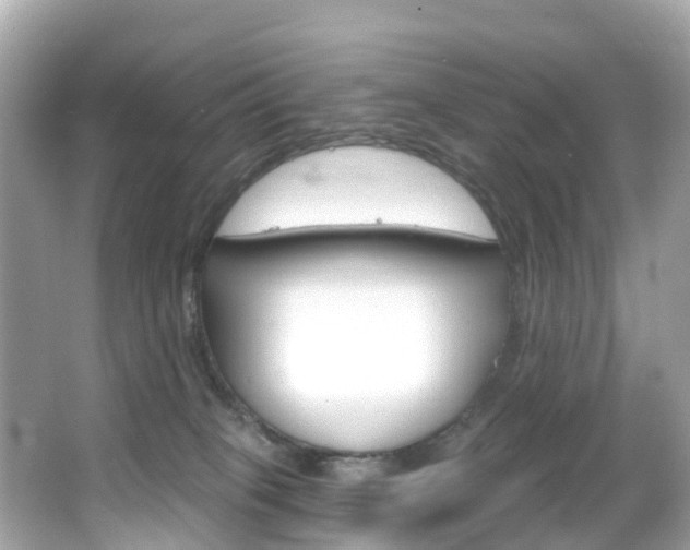 X0000066090085200603101014