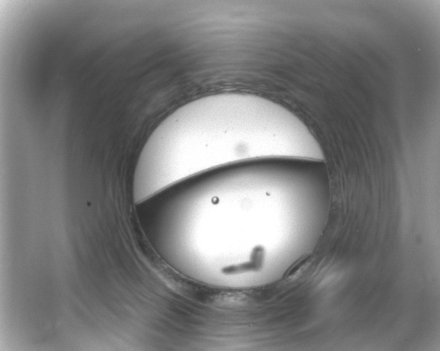 X0000066090086200603101014