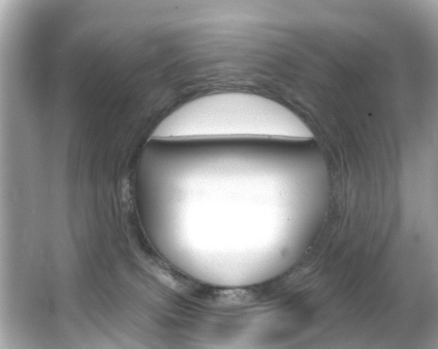 X0000066090087200603101014