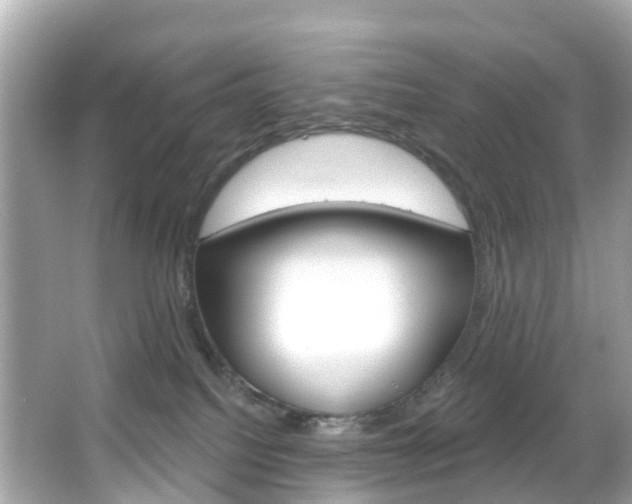 X0000066090088200603101014