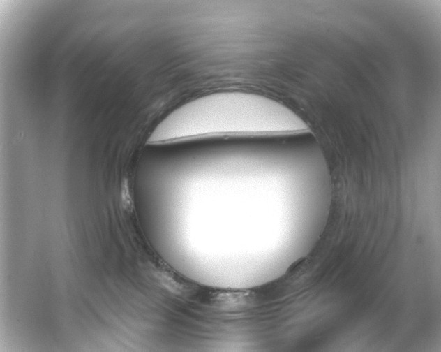 X0000066090089200603101014