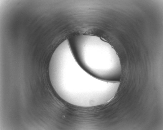 X0000066090090200603101014