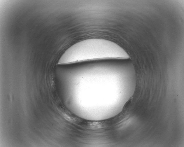 X0000066090091200603101014