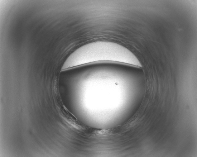 X0000066090092200603101014