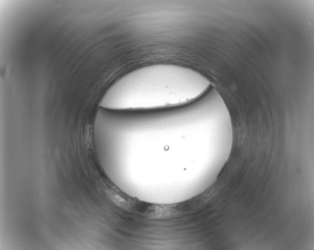 X0000066090093200603101014