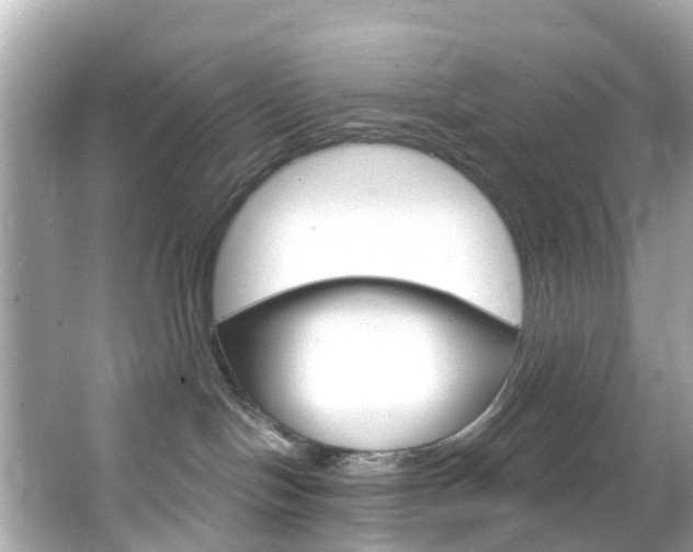 X0000066090094200603101014