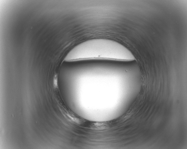 X0000066090095200603101014