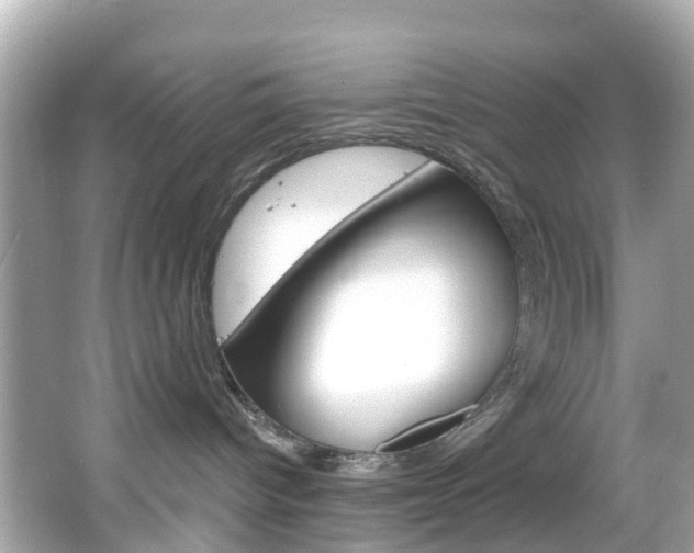 X0000066090096200603101014