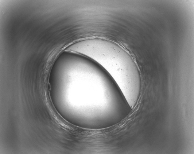 X0000066090097200603101013