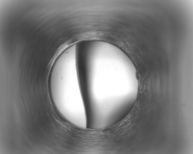 X0000066090099200603101013