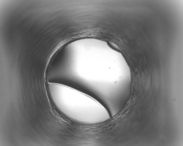 X0000066090100200603101013