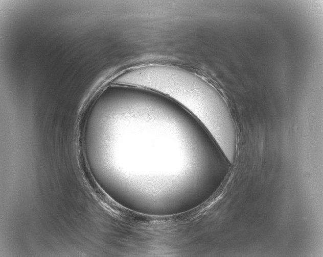 X0000066090101200603101013