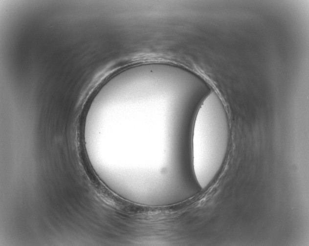 X0000066090103200603101013