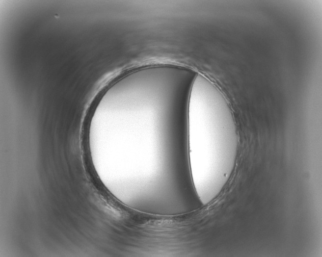 X0000066090104200603101013