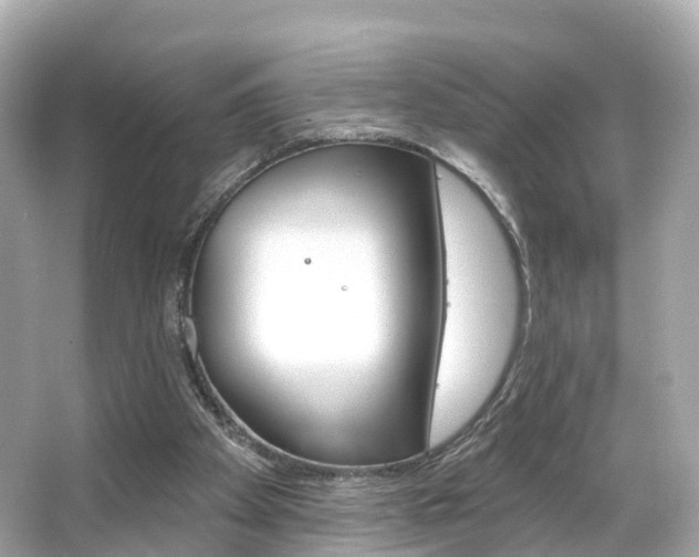 X0000066090105200603101013