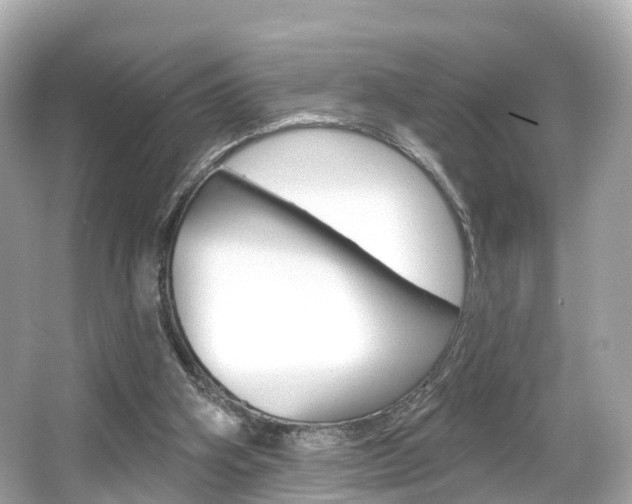 X0000066090106200603101013