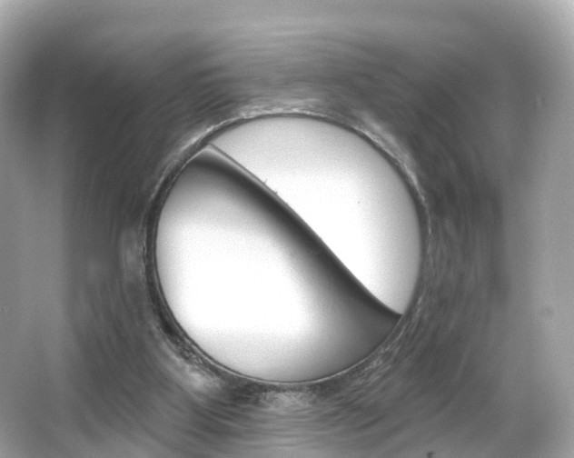 X0000066090107200603101013