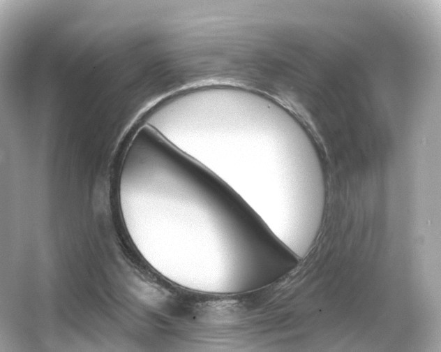 X0000066090108200603101013