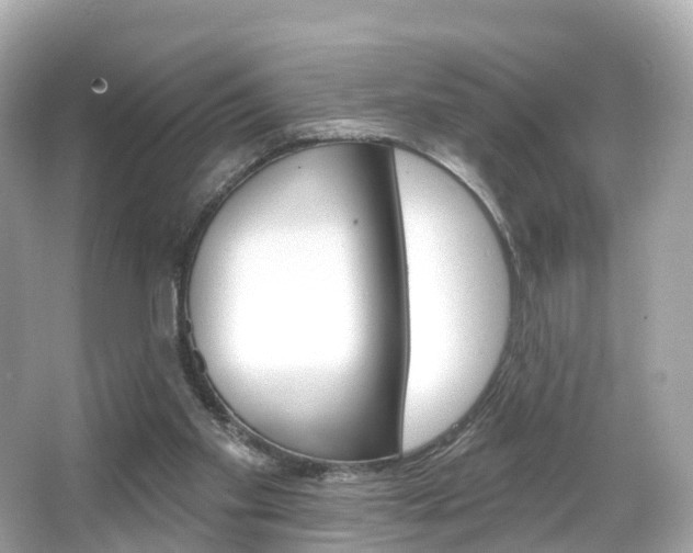 X0000066090109200603101013