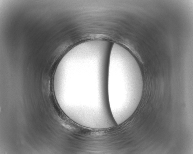 X0000066090110200603101013