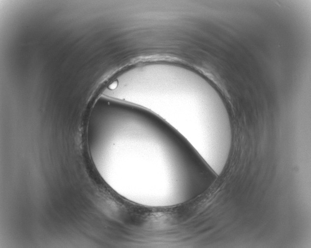 X0000066090111200603101013