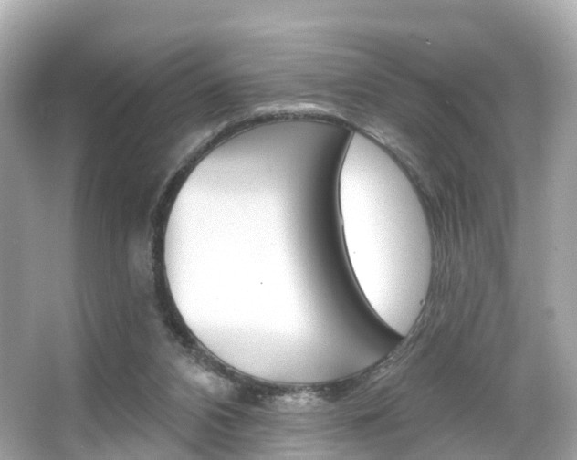 X0000066090112200603101013