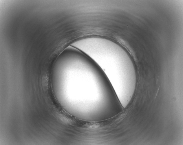 X0000066090113200603101013