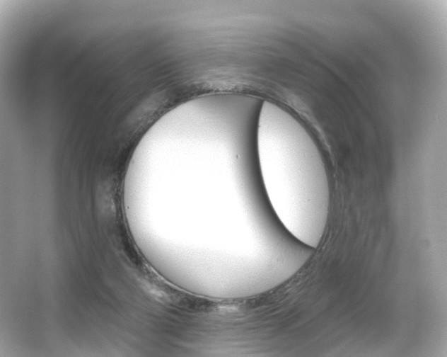 X0000066090114200603101013