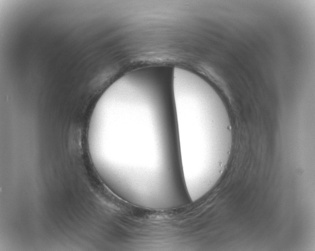 X0000066090115200603101013