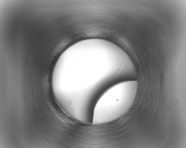 X0000066090116200603101013