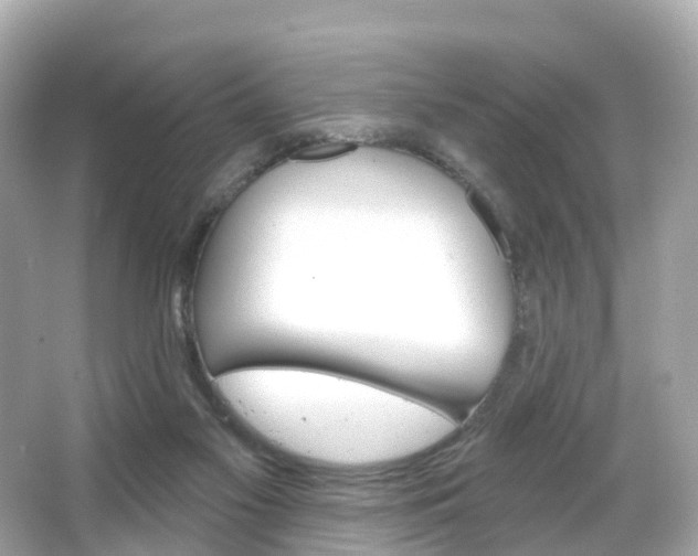 X0000066090117200603101013