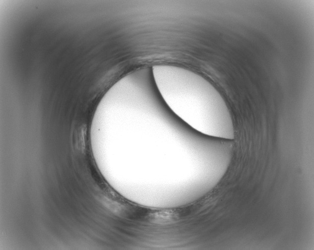 X0000066090118200603101013