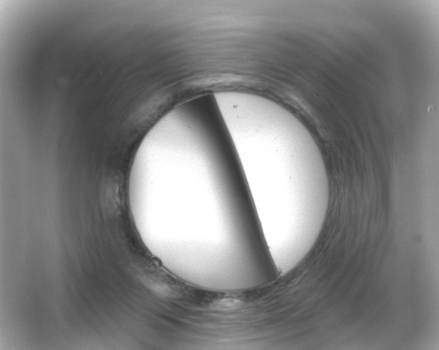 X0000066090119200603101013