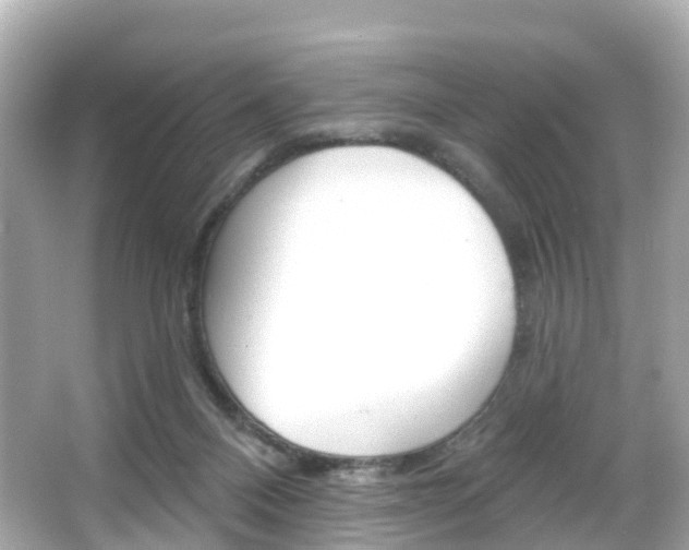 X0000066090120200603101013