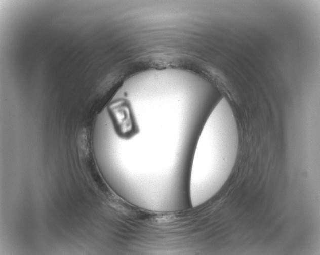 X0000066090121200603101013