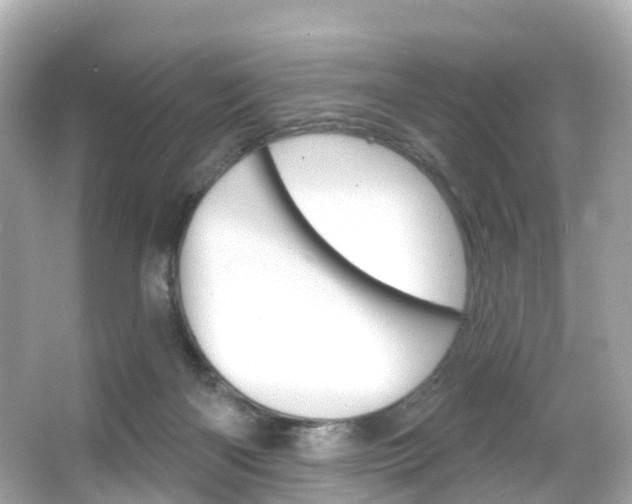 X0000066090122200603101013