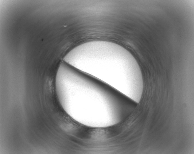 X0000066090123200603101013