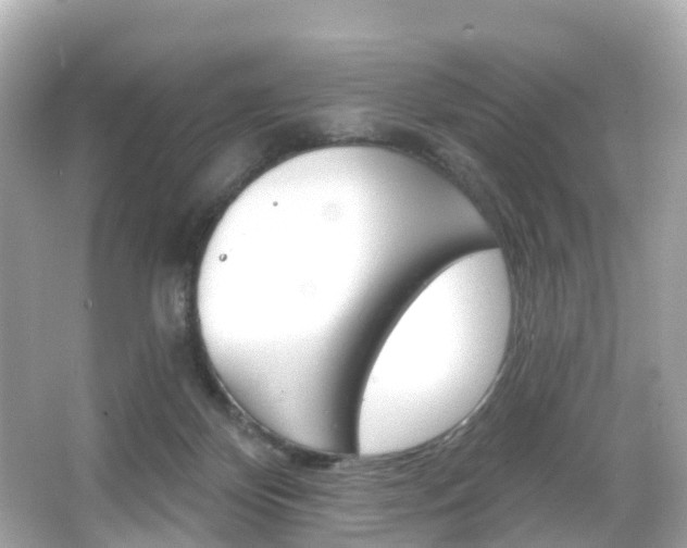 X0000066090124200603101013