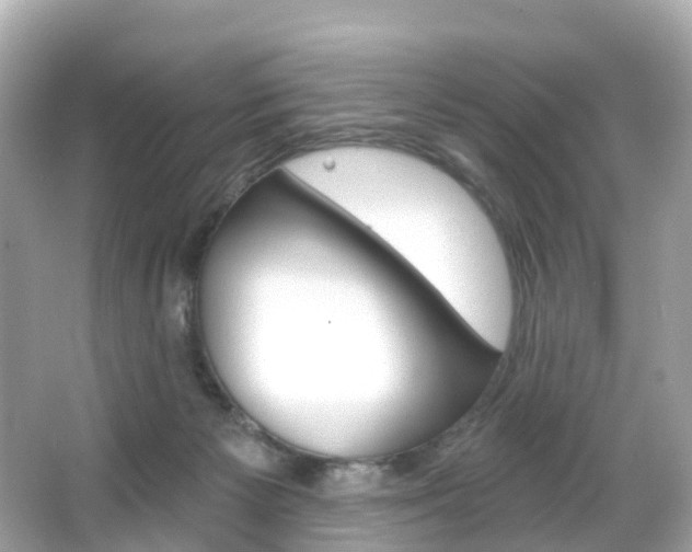 X0000066090125200603101013