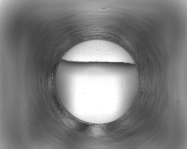 X0000066090126200603101013