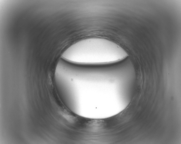 X0000066090128200603101013